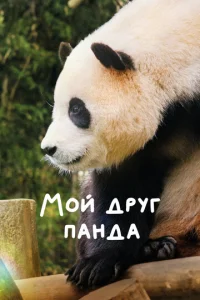 m1m0il1 ldopyr nojkkvjldoojk