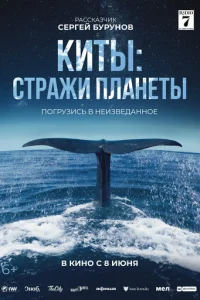 Kuτӹ: Cτpojkжu nvnlojkkvjeτӹ